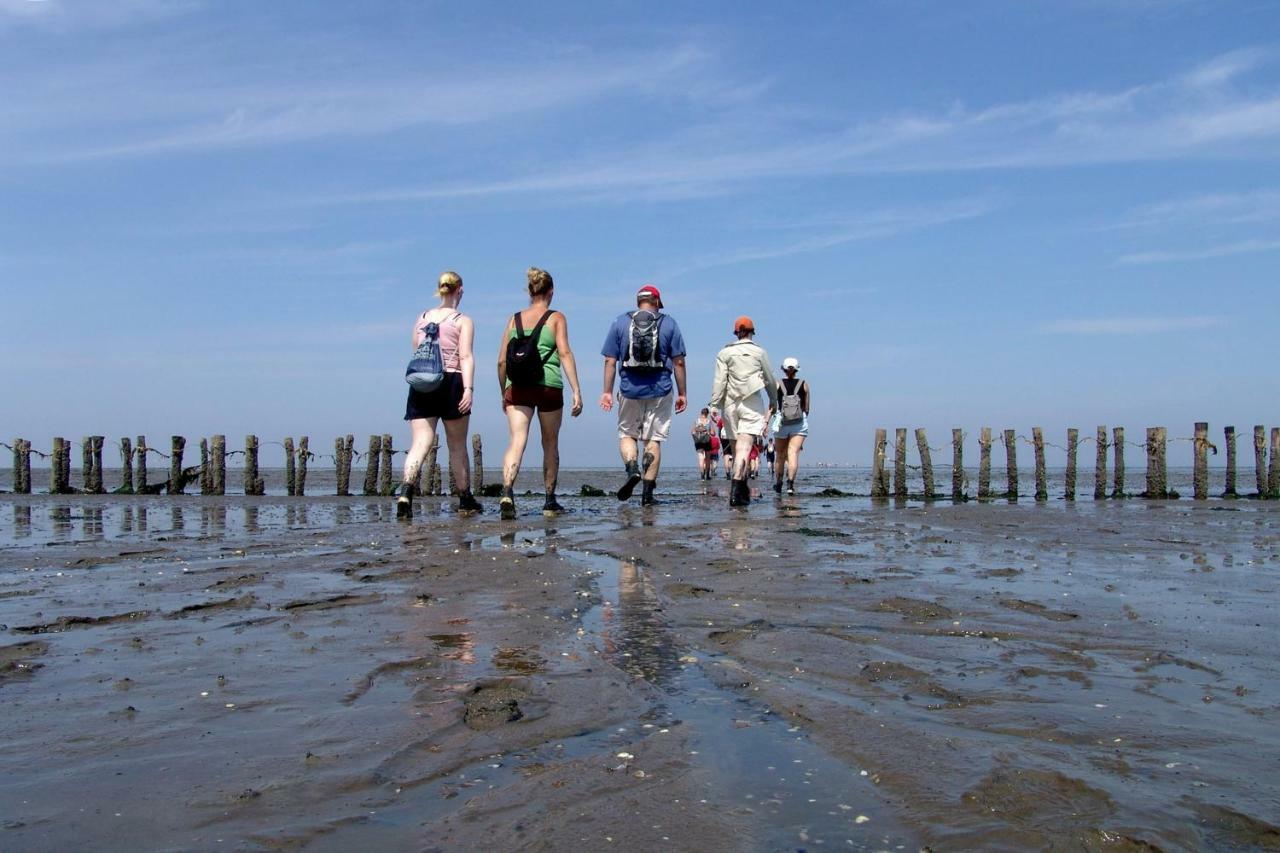 - Sauna D'olle Pastorie Bed and breakfast Vierhuizen